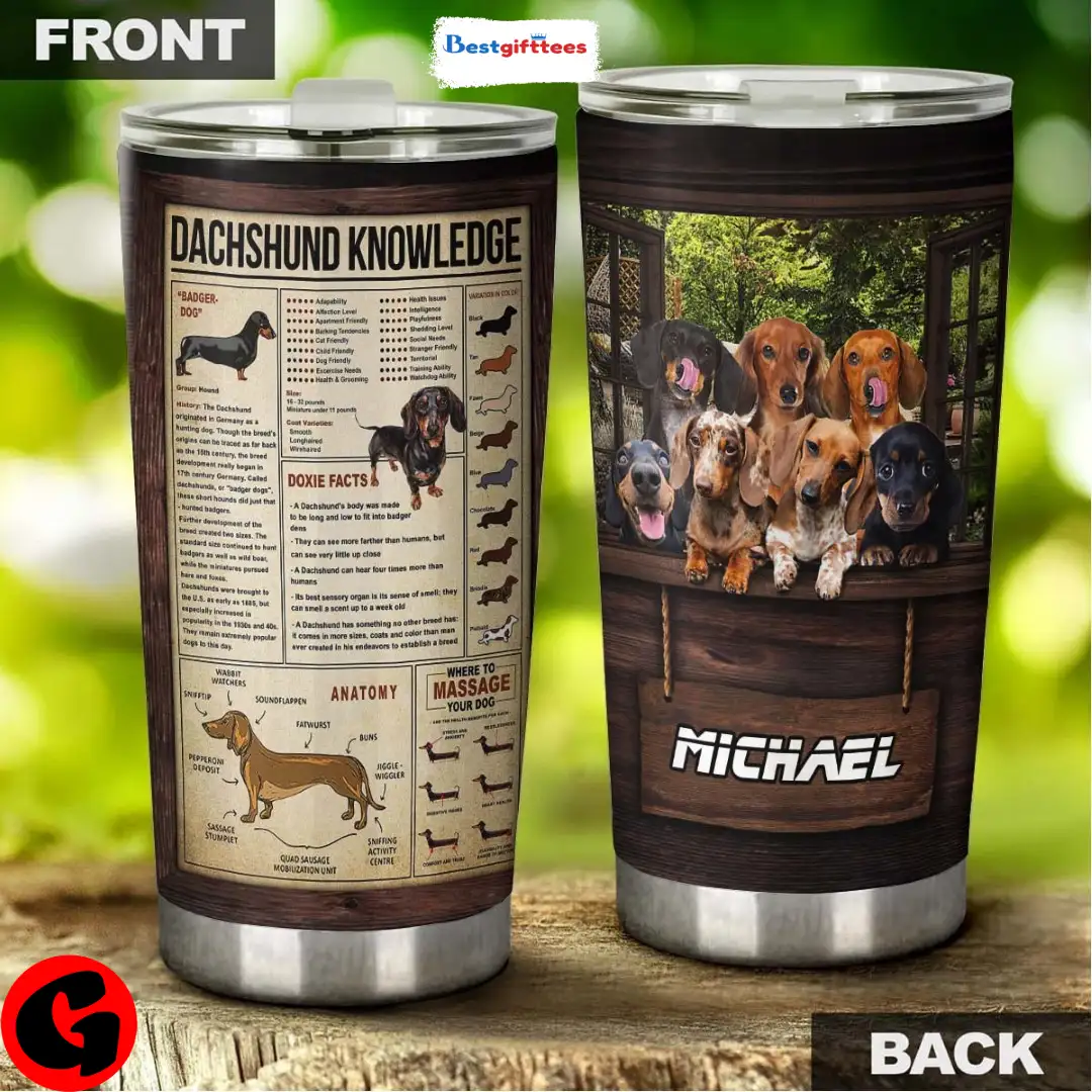 Tumbler Cup Personalized Dachshund Window Tumbler Stainless Steel Tumbler, Custom Tumblers Ideas